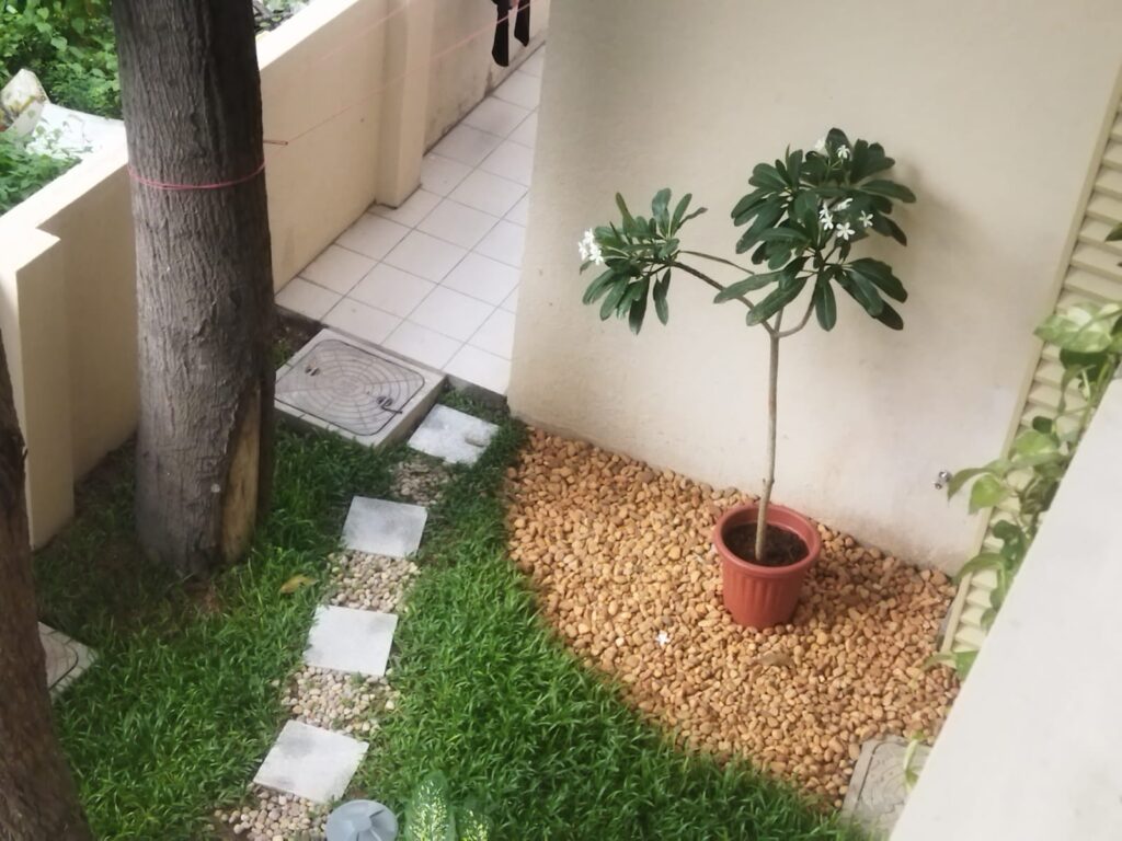 WhatsApp Image 2026-01-07 at 2.37.43 PM