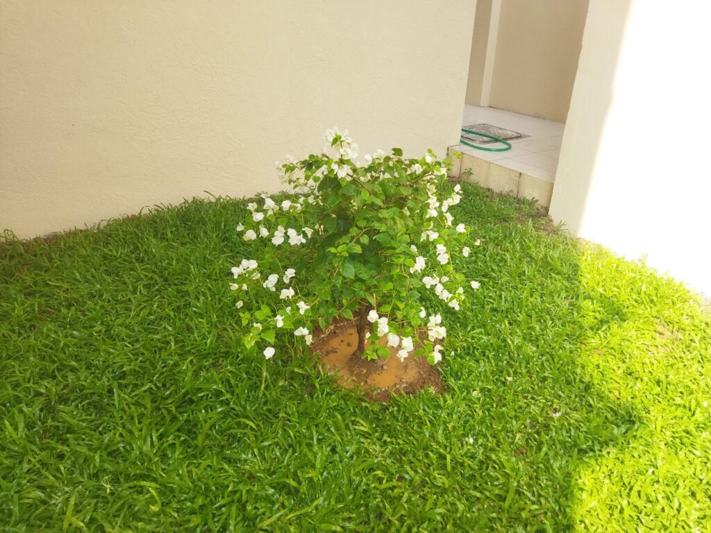 WhatsApp Image 2026-01-07 at 2.37.44 PM